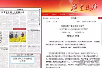 漢臺區畜牧獸醫技術推廣中心的創新實踐與成效