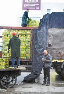 蓉城智慧物流新篇章 成都科技企業(yè)推出貨運App，貨車司機手機搶單助力農(nóng)副產(chǎn)品高效購銷