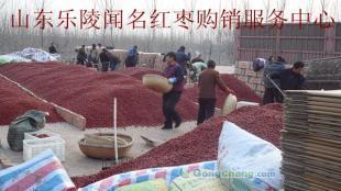 樂陵原棗優質供應，專業購銷服務，助力農副產品流通