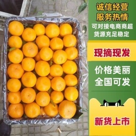 陜西漢中城固縣柑桔產地貨源直通 少波農副產品購銷中心代辦服務詳解