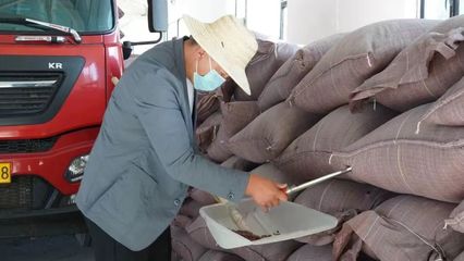 哈巴河縣合作社喜迎二十大，打瓜產銷旺助力鄉村振興