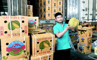 江北地區新樞紐 青島即墨大信鎮水果交易與農副產品購銷的崛起