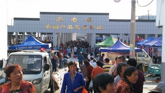 蘇巷農副產品交易市場投入運營 開啟農副產品購銷新篇章